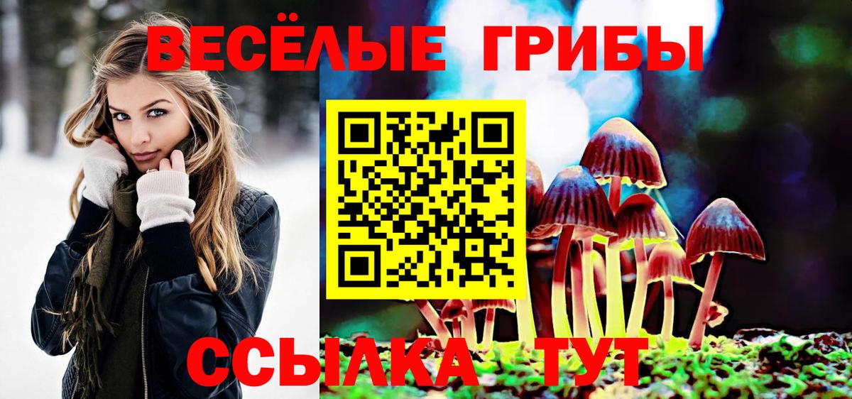 Галлюциногенные грибы GOLDEN TEACHER Армавир