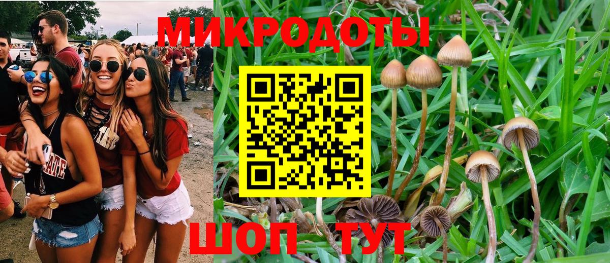 Псилоцибиновые грибы MAGIC MUSHROOMS  Псилоцибиновые грибы мухоморы  Армавир  закладки  Вход с VPN 
